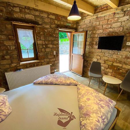 Holiday Park Hajducka Cesma Dubovsko Ngoại thất bức ảnh