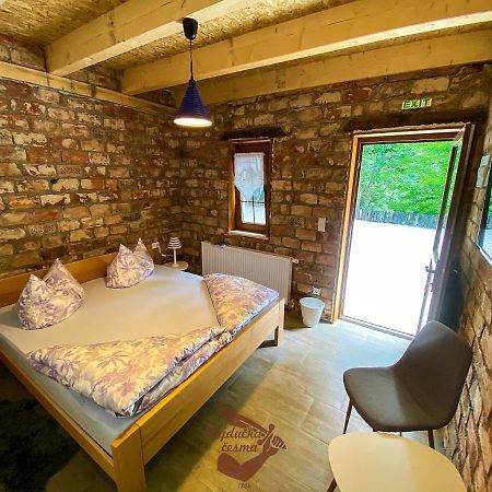 Holiday Park Hajducka Cesma Dubovsko Ngoại thất bức ảnh